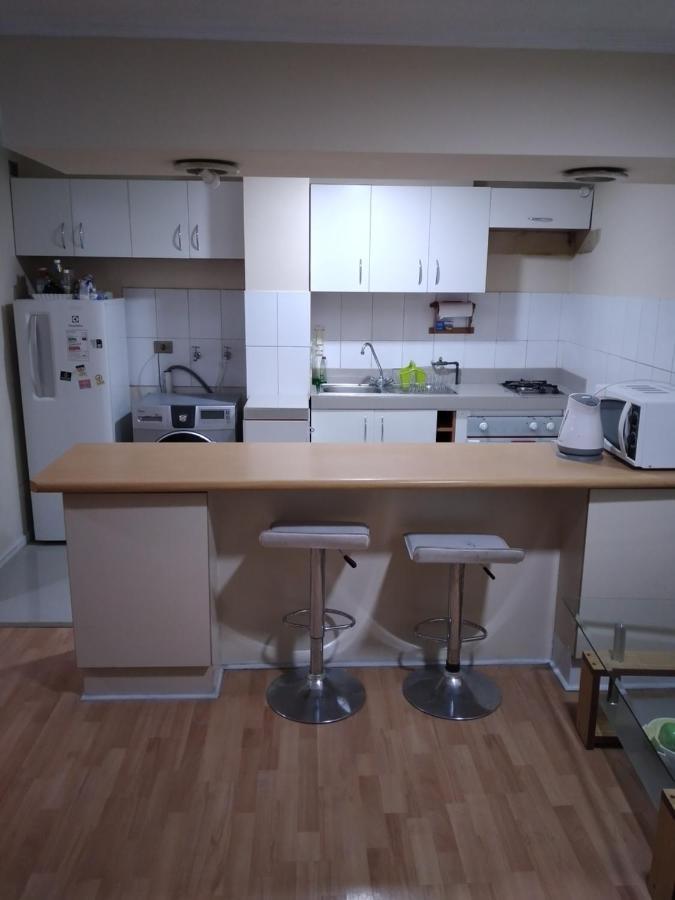 Centrico Y Amplio Apartamento Santiago